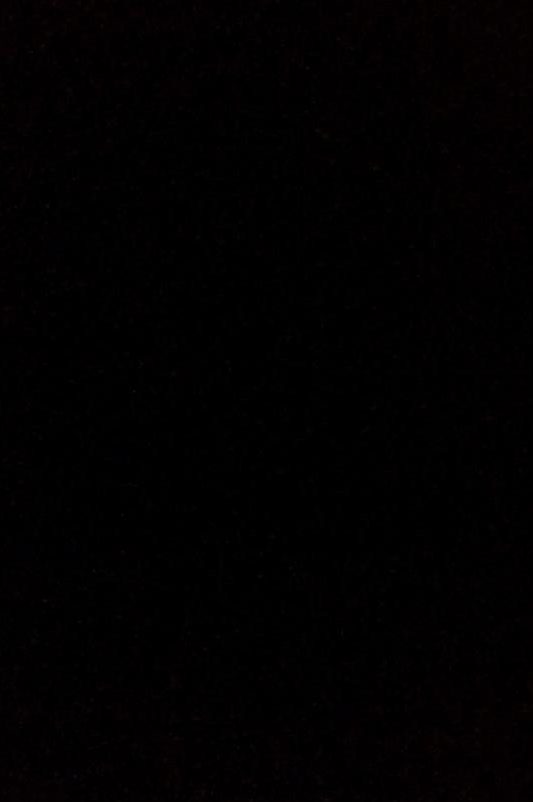 دکتر محمدرضا کلائی